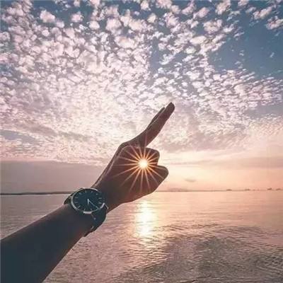濒临绝种动物剧场手机版下载