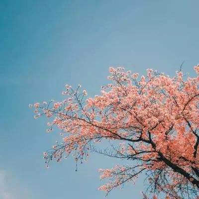 水煮三国志手游下载
