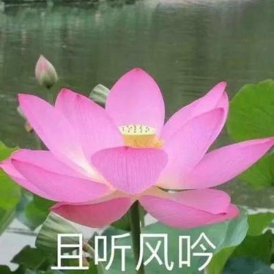 剑碎星辰官方版下载